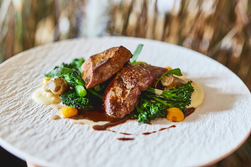 Elegantes Fleischgericht in der Falstaff-ausgezeichneten Küche des Weinforum Franken